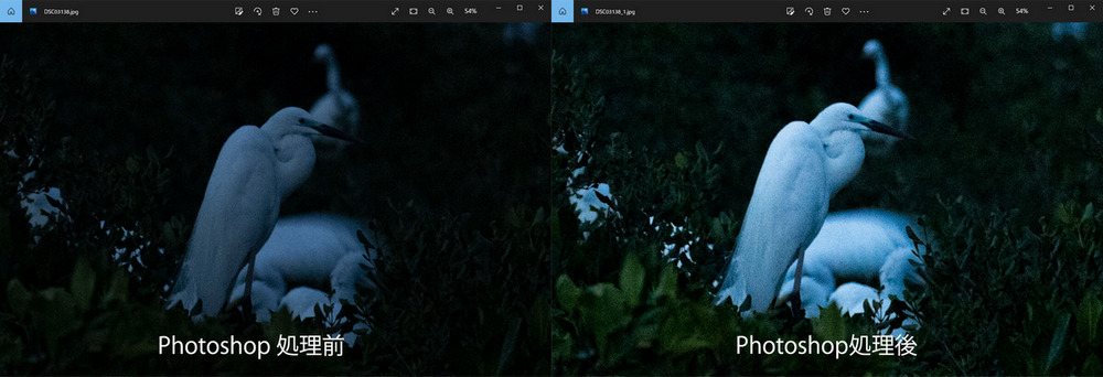 Photoshopで処理した写真