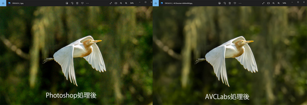 Photoshopで処理後の写真とこのソフトで処理後の写真2