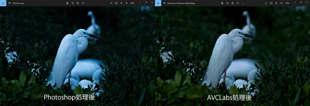 Photoshopで処理後の写真とこのソフトで処理後の写真