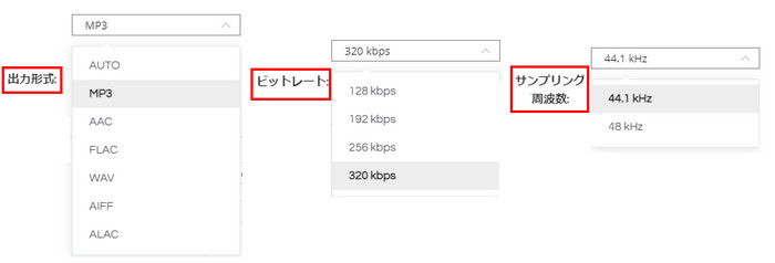 TunePat YouTube Music Converter の設定詳細画面